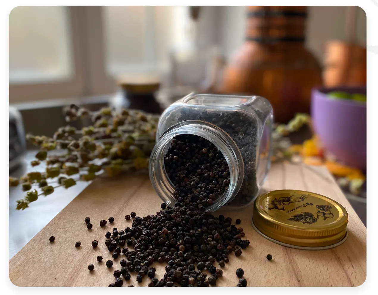 A jar tipped on its side spilling juniper berries across a wooden board, with the copper still behind